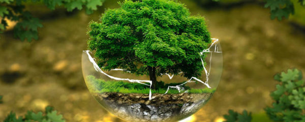 environnement