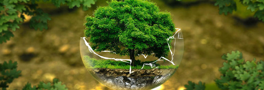 environnement